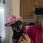 Ella pence - @pence2255 - Instagram