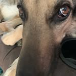Ella - @ella_penn._._ - Instagram