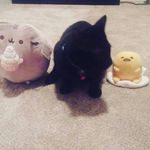 ella penton - @ellape_nton2 - Instagram