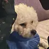 Ella - @ellapete_ - TikTok