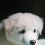 Ella Pete - Facebook