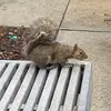 Ella Peterson - @ella.peterson_77 - TikTok