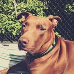 Ella Pfeiffer - @estella_a_candyandsweety - Instagram