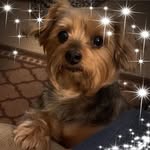 Ellen Pickens - @ellen.pickens.5 - Instagram
