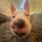 Ella Rae Pitt - @ella__pitt - Instagram