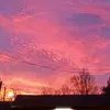 Ella Plank - @ella.plank47 - TikTok