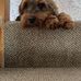 Ella Plant - Facebook
