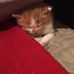 Ella Plummer - Facebook