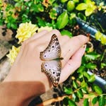 Ella Poe - @kissg_rass - Instagram