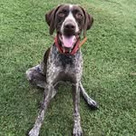 ★ E L L A ★ - @ellathepointer - Instagram