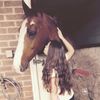 Ellaporter  - @ella.porter376 - TikTok