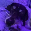 ellapowell_82 - @epowell030 - TikTok