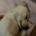 Ella Pratt - Facebook