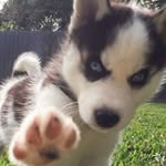 Ella Prior - @cam.ella.harry - Instagram
