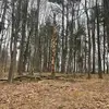 Ella Proctor - @ella.proctor7 - TikTok