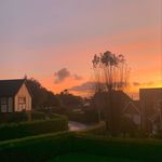Ella Proctor x - @ellaproctor57 - Instagram