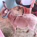 Ella Provost - Facebook