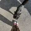 ellaprovost4 - @ella.provost - TikTok