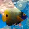 KANG IKAN - @ellaquamarinefarm - TikTok