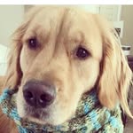 Ella Quick - @ellathegolde.n - Instagram
