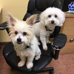 Ella&Quincy - @ella.and.quincy - Instagram