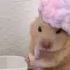 :) - @ella.quinlan - TikTok