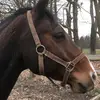 Ella rabe - @ellchen.rbe - TikTok
