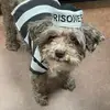Ella - @ellarader - TikTok