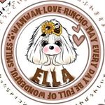 Ella - @ella.___.raffa - Instagram