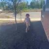 Ella ragland - @ellagrace12300 - TikTok