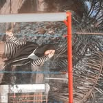 ella ramadhini - @ella.ramadhini - Instagram