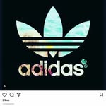 Ellie Ramsden - @ellieramsden60 - Instagram
