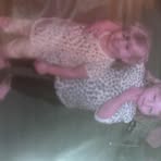 Ella Rand - Facebook