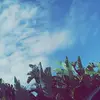Ella Randall - @ellarandall5 - TikTok