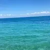 ellasbackupx - @ellarandall14 - TikTok