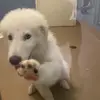ella - @ellarandolph - TikTok