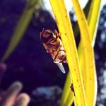 Ella Rankin - @baguettemcedgelord - Instagram