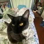 Ella Ratliff - @elrat9 - Instagram