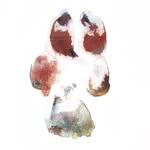 Ella Ratliff | Pet Portrait Artist - @ellaspetportrait - Instagram