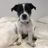Ella - @ella.redmond - TikTok