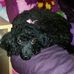 Ella Redmond - Facebook