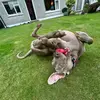 ELLA REDMOND - @ellared244 - TikTok