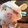 Ella Regan - @ellla107 - TikTok