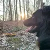 ella_reilly - @ella_reilly - TikTok