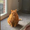 ella - @ellarich.1 - TikTok
