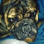 Ella- ridley 😡😡 - @ella_27764 - Instagram