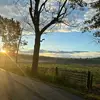 Ella - @ellaridley3 - TikTok