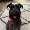 Ella Ridley - @ella_ridley07 - TikTok