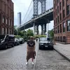 Ella Riordan - @ellariordan - TikTok
