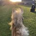 Ella Rose O Riordan - Facebook